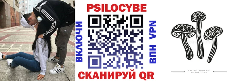 купить   MEGA зеркало  Псилоцибиновые грибы мицелий  Макушино 